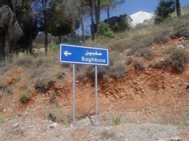 مقاتلة اسرائيلية تقصف البقاع الغربي في لبنان