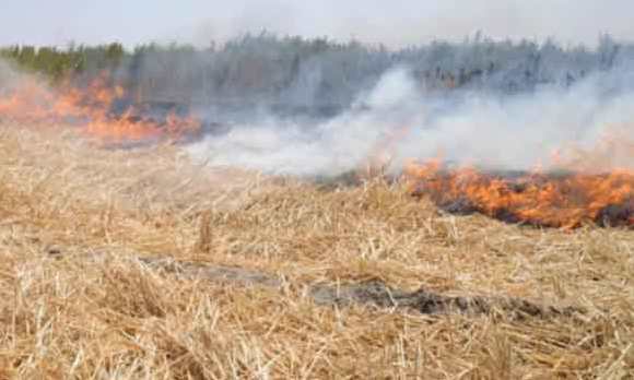 Terrorists attack farmers in a village in Syria, leaving two injured and fields burned