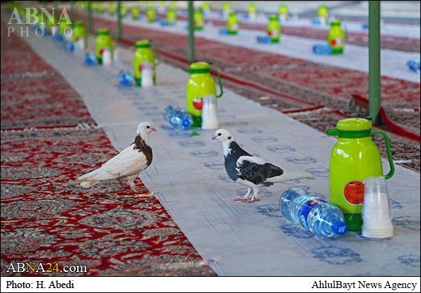 تصویری رپورٹ/ حرم بی بی معصومہ(س) میں ضیافت افطار