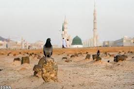 جنت البقیع کے یوم انہدام پر قائد ملت جعفریہ پاکستان کا بیان