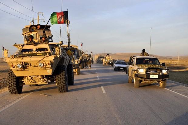 افغان فوج نے ایک سو نواسی طالبان دہشتگردوں کو ہلاک کردیا