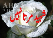 کوئٹہ: سبزل روڈ پرفائرنگ ، دو مومن شہید