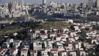 مقبوضہ فلسطین میں صیہونی کالونیوں کی تعمیر پر ردعمل