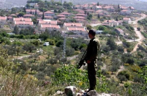 Extremist Jewish settlers seize Palestinian-owned land in Salfit