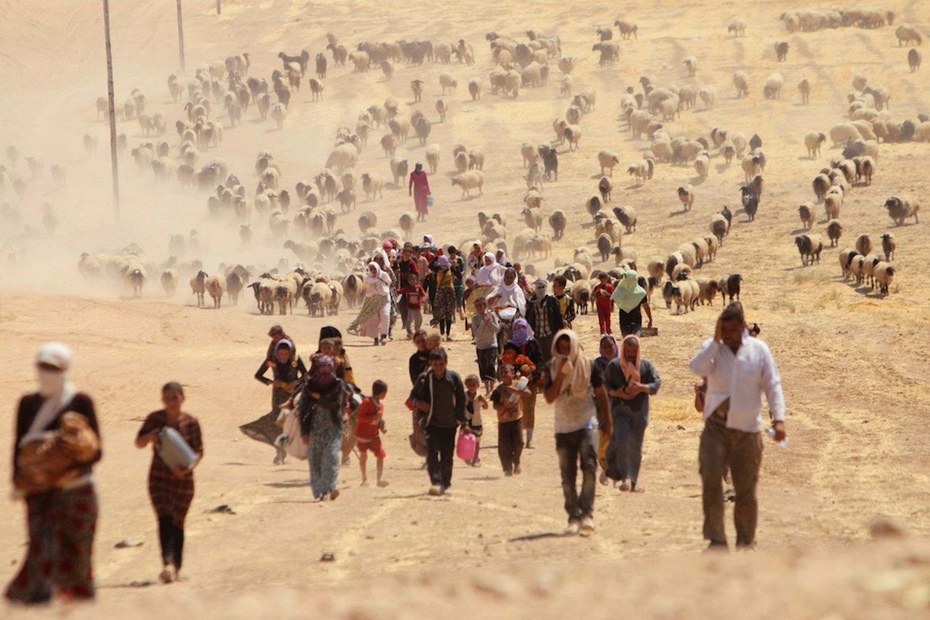 Has the World Forgotten Yazidis after Massacre at Sinjar?