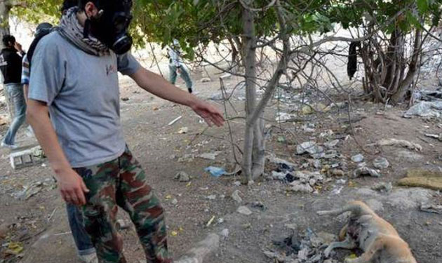 الجيش الالماني: هجوم بالسلاح الكيميائي استهدف مقاتلين اكراد في العراق