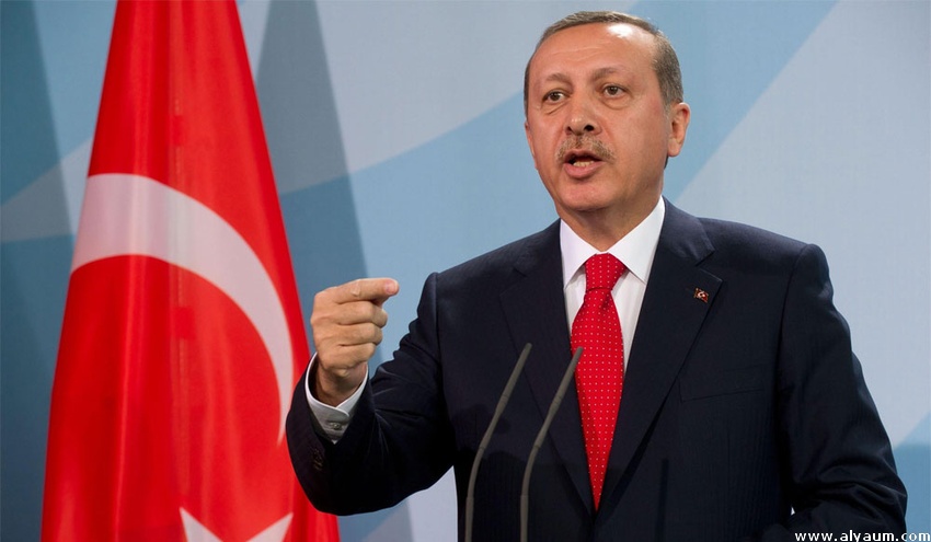 السجن 11 شهرا مع وقف التنفيذ لتلميذ "شتم" اردوغان + صورة