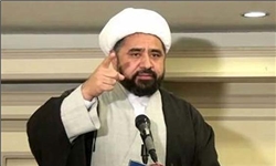 علامہ امین شہیدی:حکومت نیشنل ایکشن پلان کے تمام نکات پر بلاتاخیر کاروائی کرے 