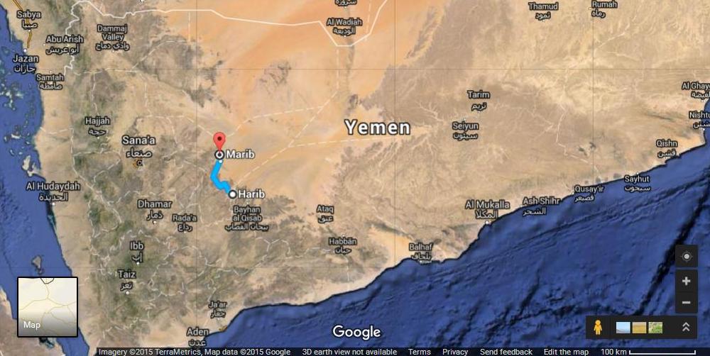 14 pro-Hadi troops killed in Saudi air raid by mistake
