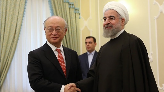 مشترکہ جامع ایکشن پلان پر عمل درآمد میں آئی اے ای اے کا مؤثر کردار رہے گا