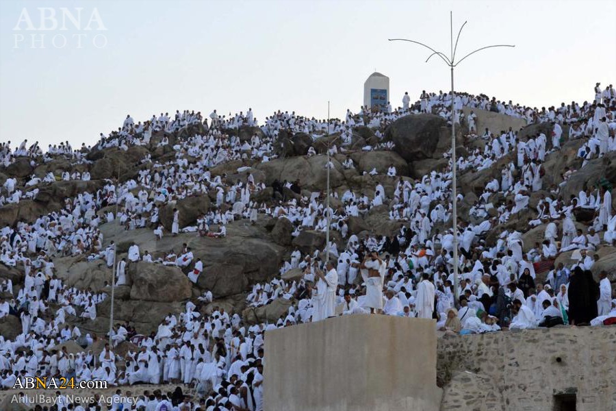 تقرير مصور / الحجيج في عرفات حيث الدعاء والتضرع الى الله تعالى