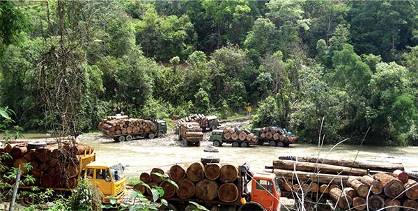 ျမန္မာမွတ႐ုတ္သုိ႔ သစ္ခုိးသြင္းမႈကို တ႐ုတ္သစ္ေမွာင္ခိုဂုိဏ္းတစ္ခုက ထိန္းခ်ဳပ္လုပ္ကုိင္ေနဟု EIA ထုတ္ျပန္