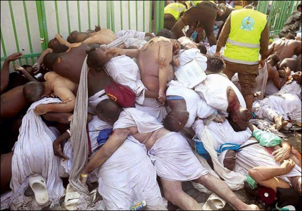 كارثة الحجاج لا يجب ان تمر دون حساب او عقاب وانه الاهمال واللامبالات على اعلى المستويات