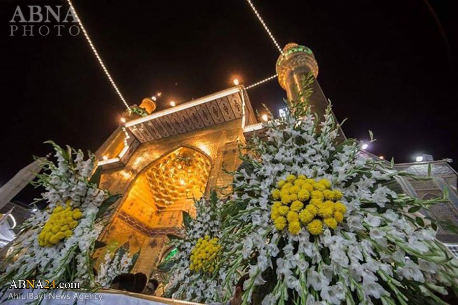 تزيين الحرم العلوي الطاهر والصحن الحيدري الشريف بآلاف الأزهار والورود الطبيعية + (صور)