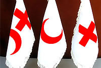 ICRC Ready to Help Identify Iranian Victims of Mina Incident