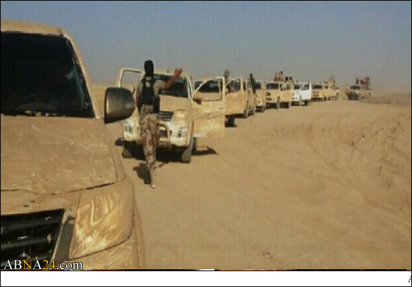جهات استخبارية اقليمية تخطط وتنسق مع داعش لضرب التحالف الجديد 