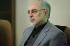 Salehi: Heute oder morgen wird Aktionsplan in Kraft treten