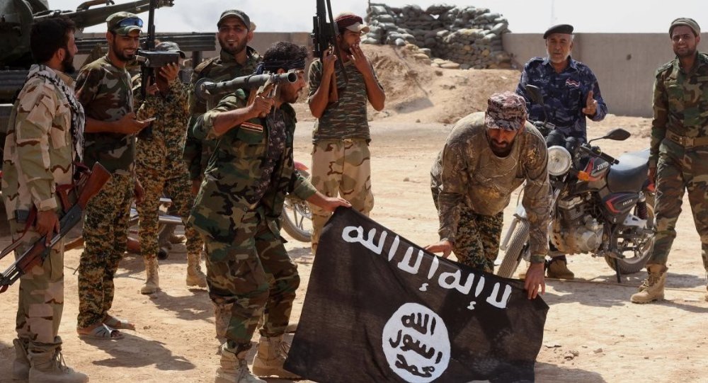 El-Meyadin: IŞİD ve Nusra'nın ortak hareket etmesini Türkiye koordine ediyor