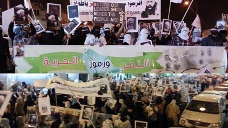 برلین: آیت اللہ شیخ باقرالنمر کی حمایت اور آل سعود کو انتباہ