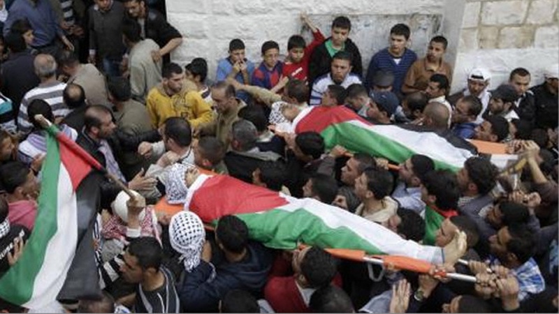صیہونی فوجیوں نے مزید دو فلسطینیوں کو شہید کر دیا