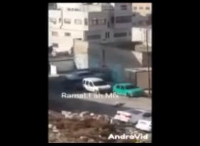 Video shows Israeli soldier Executing Palestinian injured youth