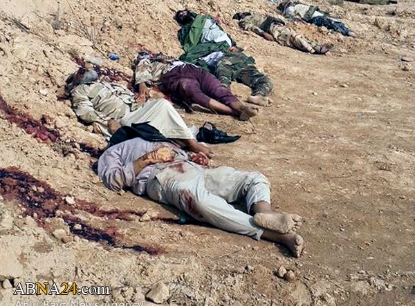 تقرير مصور/ مقتل واصابة العشرات من داعش الاجرامي غربي سامراء (+18)