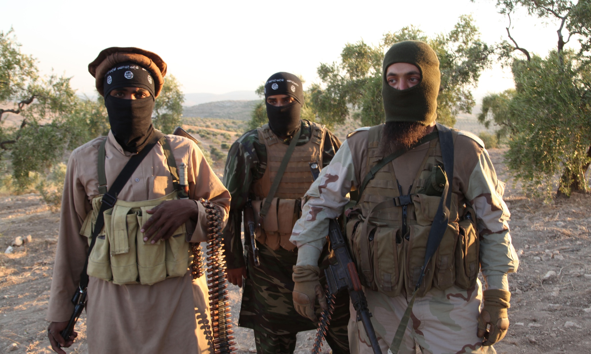 760 German citizens have joined ISIS, 200 returned home 
