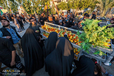 Fotostrecke: Das Wandern der Pilger nach Kerbala