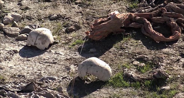 Three More Mass Graves Found In Northern Iraq / Photos
