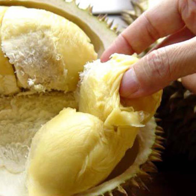  ဒူးရင္းသီးမွ ေပးစြမ္းေသာ က်န္းမာေရး အက်ိဳးေက်းဇူးမ်ား