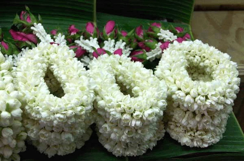 သင္းပ်ံ႕ ေမႊးၾကိဳင္ျပီး လူတိုင္း ၾကိဳက္နွစ္သက္ၾကတဲ့ စပယ္ပန္း