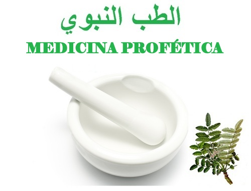 La Medicina del Profeta Muhammad (Bpd)