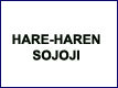 Sojoji sun ci gaba da kai hare-hare har zuwa Gyallesu, unguwar Sheikh Zakzaky