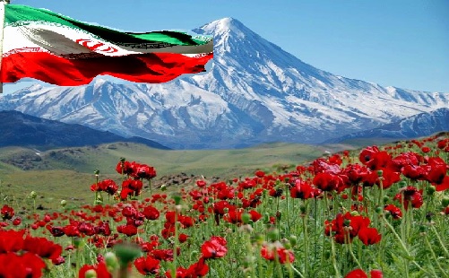 ایرانی پارلیمنٹ کے اسپیکر: پی ایم ڈی کی فائل بند ہونا ایران کی سفارتی کامیابی ہے