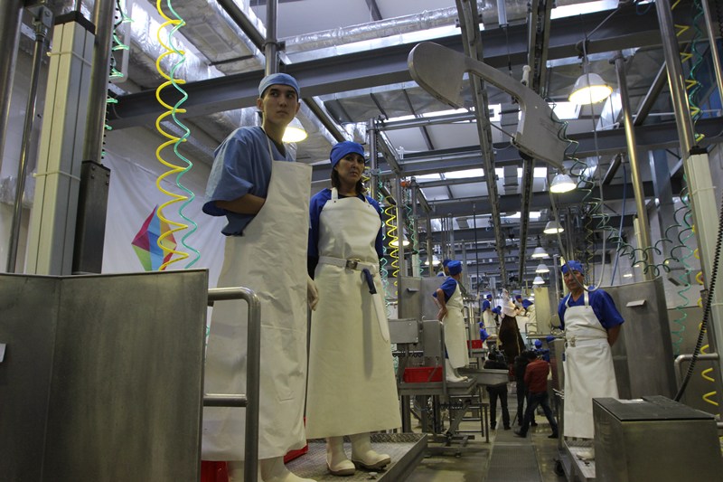 Kazakhstan launches major halal meat processing plant