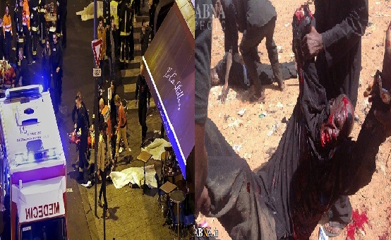 پیرس میں دہشتگردانہ حملے/ نائیجیریا میں سیکڑوں شیعوں کا قتل عام