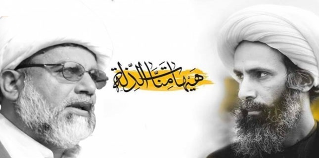 علامہ ناصرعباس جعفری کا شیخ باقرالنمر کی شہادت پر اتوار کو ملک بھر میں یوم احتجاج و سوگ کا اعلان