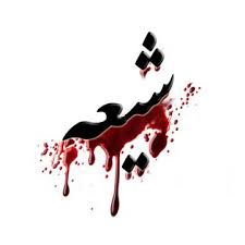 سال 2015 پاکستانی شیعوں کے لیے خونی سال، رپورٹ