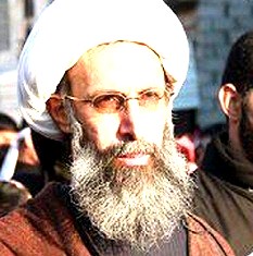 سعودی عرب ، مذہبی رہنماؤں کوذبح کرکے اپنےسفاکانہ جرائم کو چھپا نہیں سکتا: امیر عبداللہیان