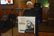 Fotostrecke: Demonstration in USA zur Verurteilung der hinrichtung von Scheich Nimr