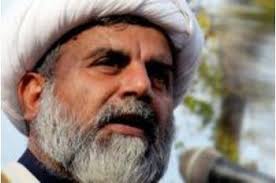 علامہ ناصر عباس جعفری:سعودی عرب مسلمانوں کے مذہبی جذبات کیساتھ خطرناک کھیل کھیلنے میں مگن ہے