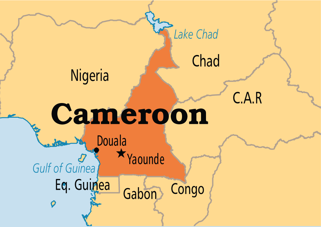 At least 10 dead after mosque suicide attack in Cameron