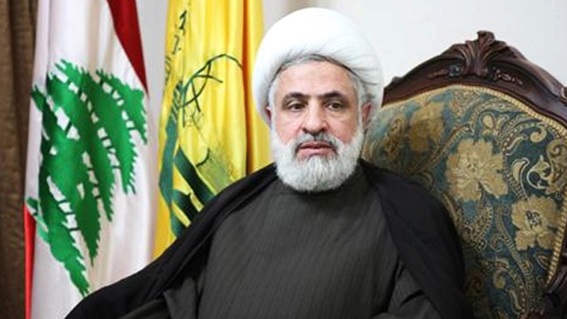 آل سعود علاقے میں فتنے و فساد کے ذمہ دار: شیخ نعیم قاسم