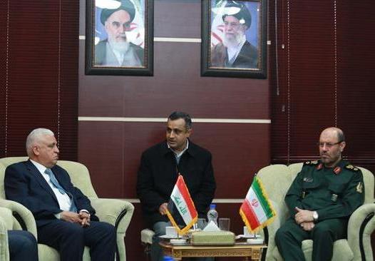 Iran to continue supporting Iraq in defeat terrorism: DM