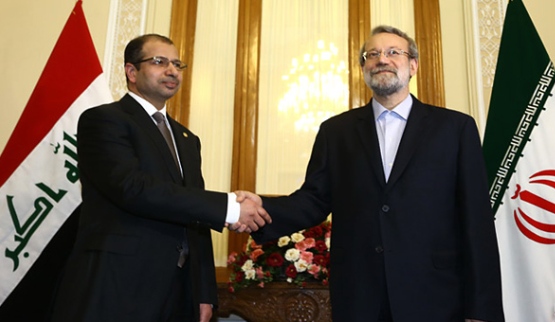 Iran's Larijani urges Muslims relief aid for Palestinians in Gaza