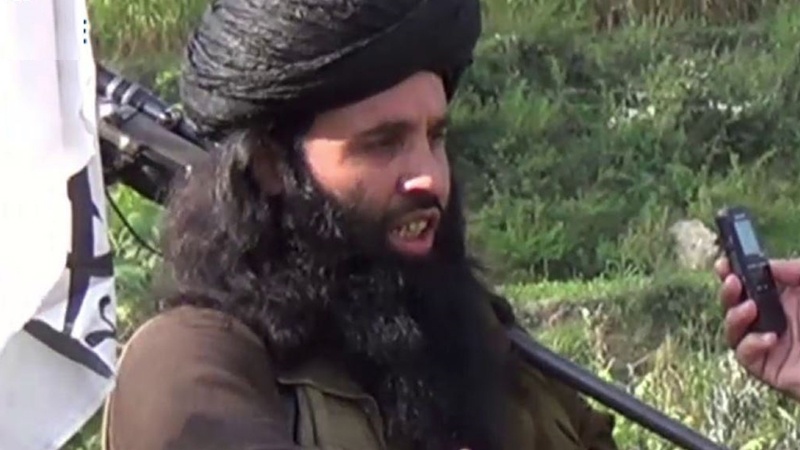 پاکستان طالبان کے سرغنہ ملا فضل اللہ ہلاک ہوگیا