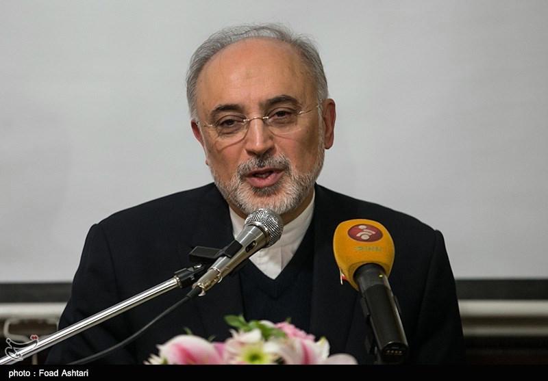 Imam Khamenei’s role in nuclear success unparalleled: IAEO head