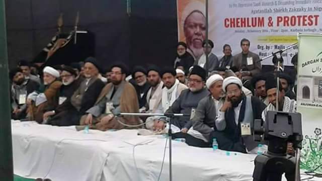 Free Sheikh Zakzaky Protest held in New Delhi, India / Photos