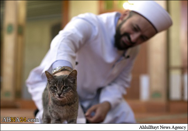 الإمام التركي "صديق القطط" يخلق الحدث عالميا + (صور)