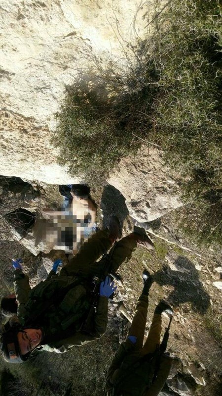 Israeli soldiers execute Palestinian boy, arrest another after wounding him